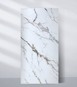 Moonlit Vein Marble UV Protected PVC Wall Panel